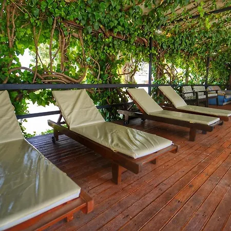 Yücel Fethiye